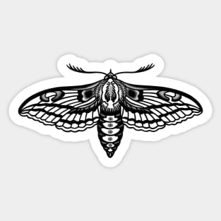 Spruce Sphinx Moth Sticker